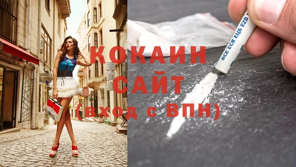 мдпв Болохово