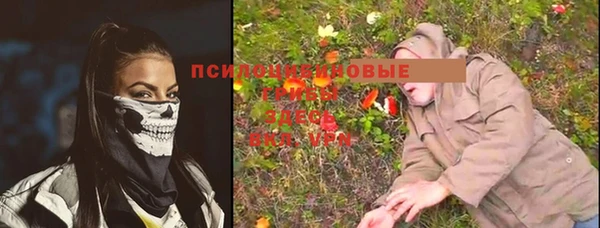 apvp Болхов